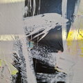 Black & bloom , 150 x 160 cm